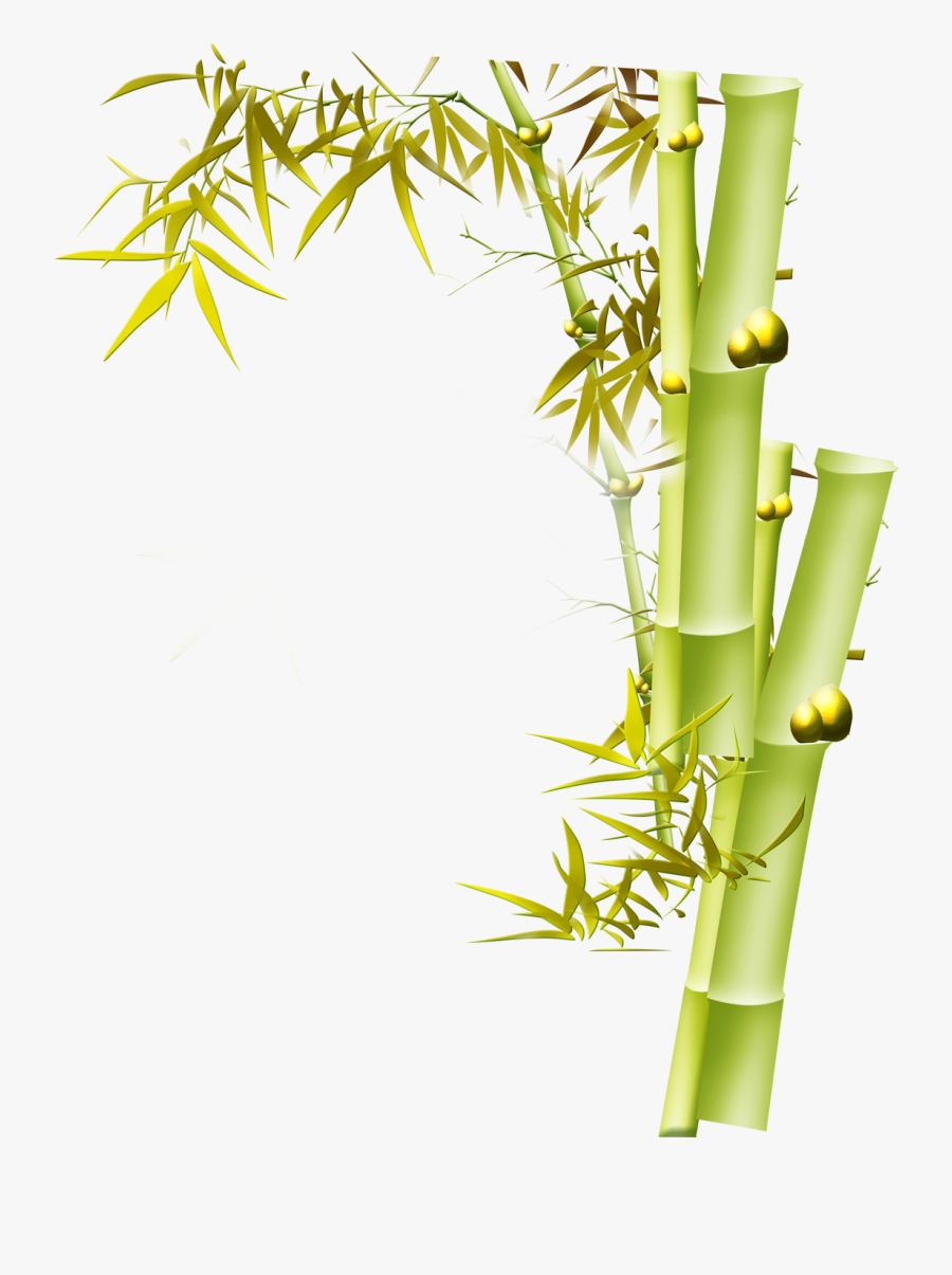 Clip Art Graphic Design Bird And - Bamboo Yellow Flower Background Transparent, Transparent Clipart