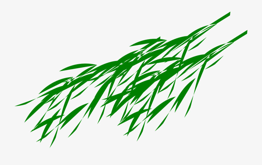 Bamboo Branches Leaves Free Picture - Panda On Bamboo Png, Transparent Clipart