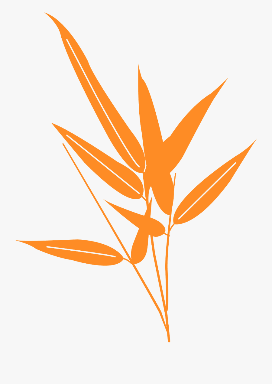 Hojas De Bambú Vector, Transparent Clipart
