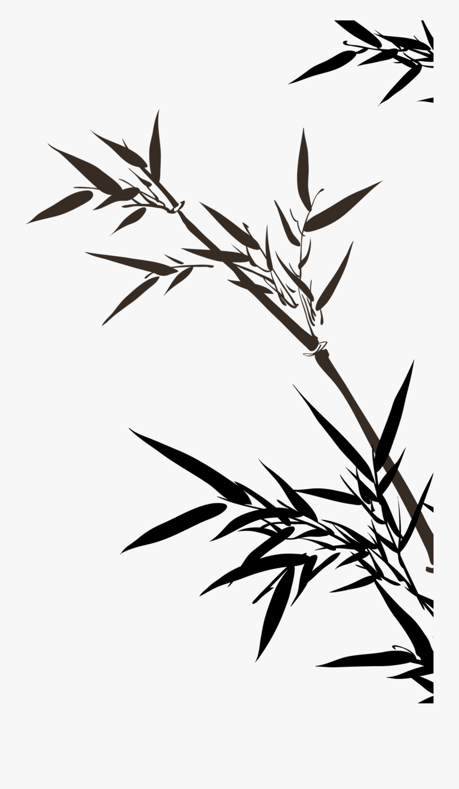 Drawing Texture Bamboo - Bamboo Drawing Png, Transparent Clipart