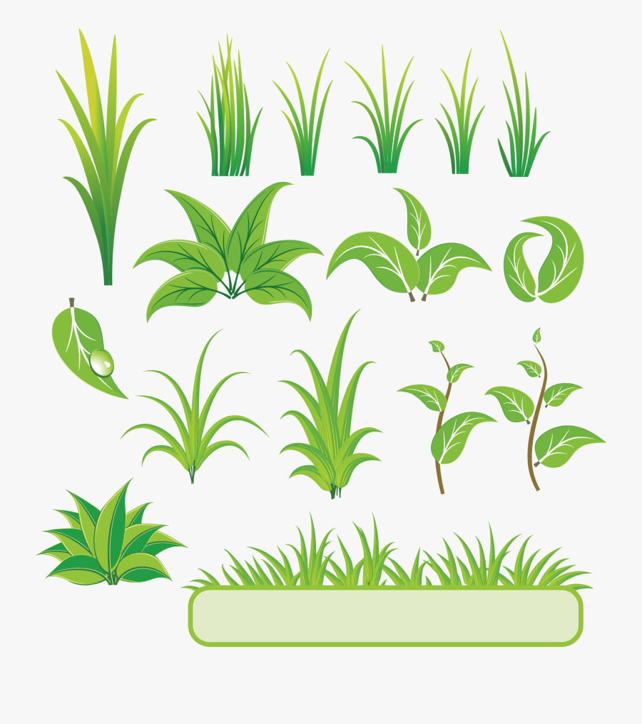 Transparent Bamboo Leaves Png - Plants Vector, Transparent Clipart