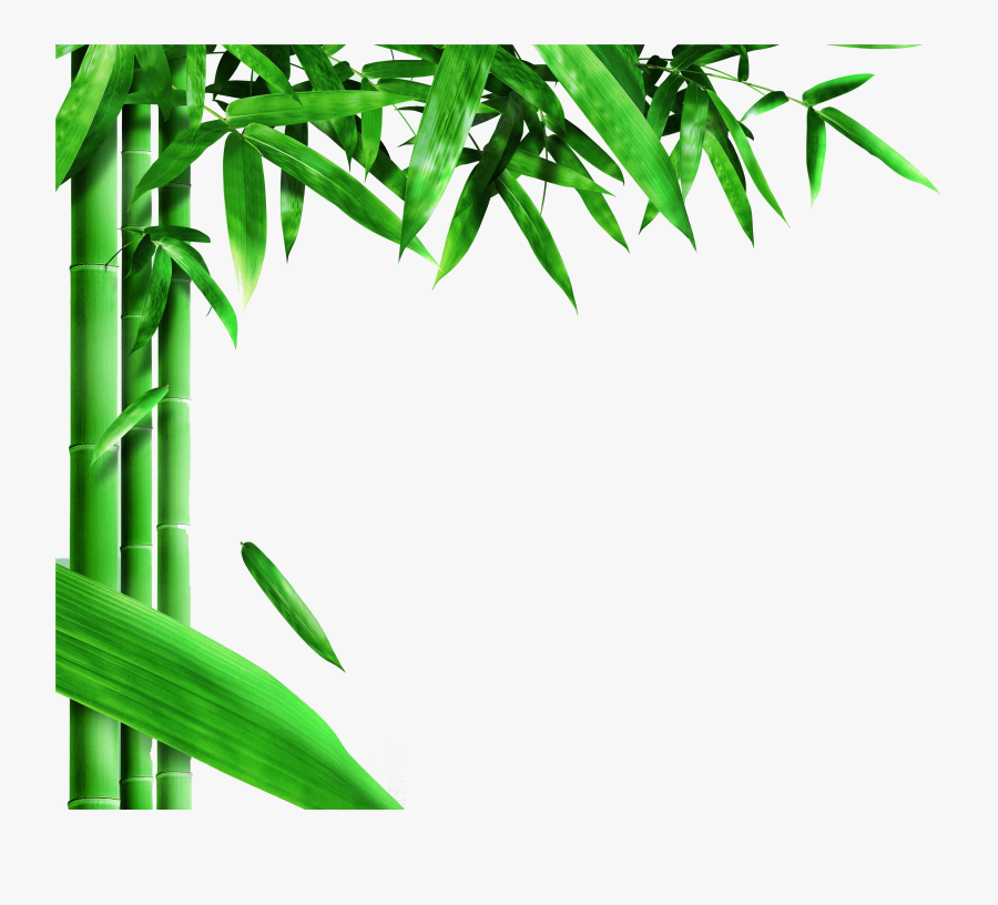 Transparent Bamboo Background Clipart, Transparent Clipart