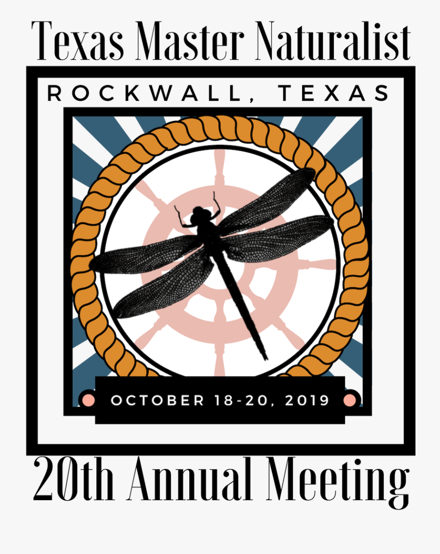 Logo For The 2019 Tmn Annual Meeting, Transparent Clipart