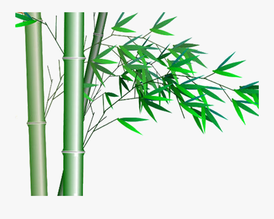 Clip Art Bamboo Graphics - Transparent Bamboo Icon, Transparent Clipart