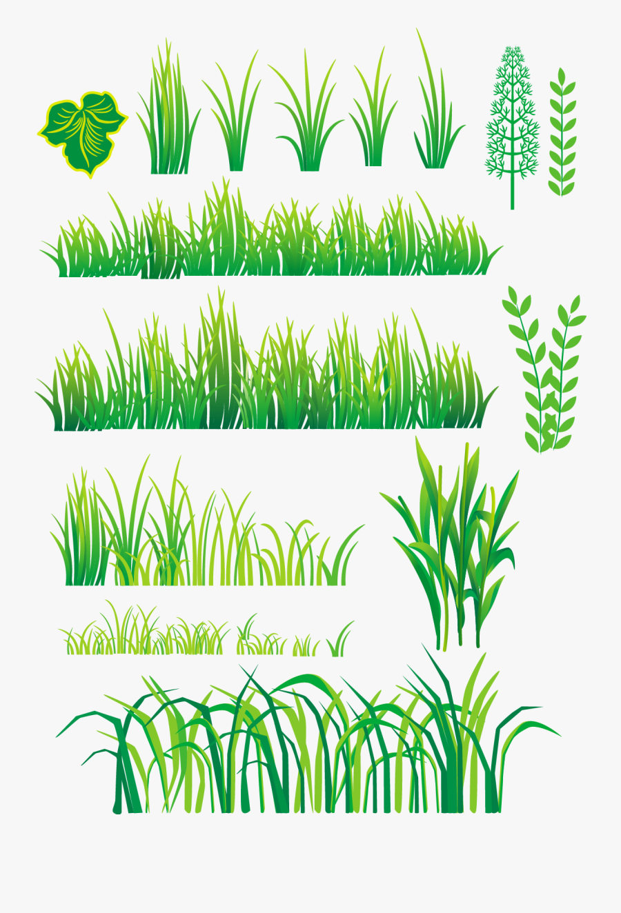 Bamboo And Grass Plant Vector 04 Png - Grass Plants Vector, Transparent Clipart