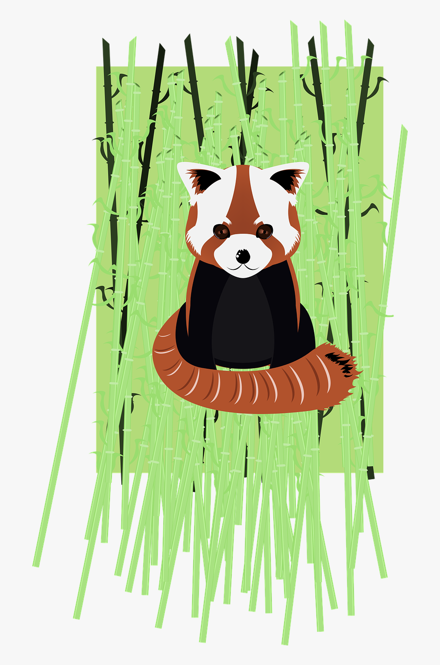 Endangered Red Panda Cartoon, Transparent Clipart