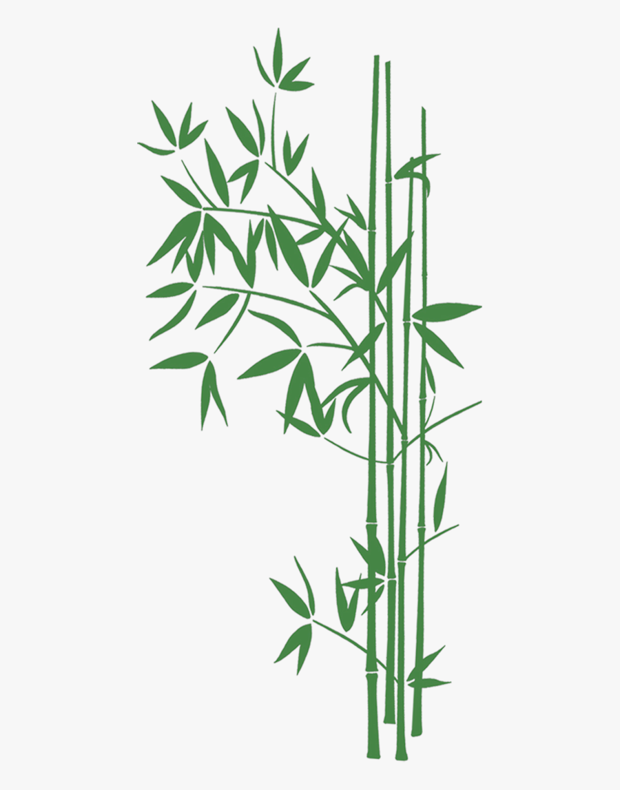 Transparent Bamboo Art High Resolution - Panda And Bamboo Wallpaper Hd, Transparent Clipart