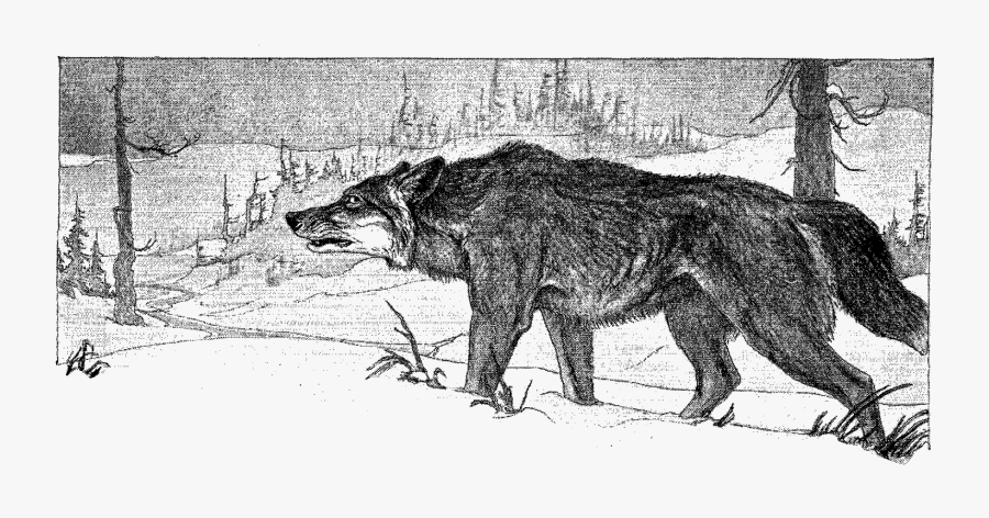 Wolf Winter Hunting Illustration - Wolf Hunting Clip Art, Transparent Clipart
