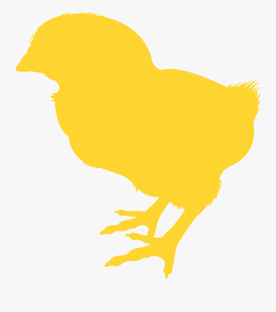 Silueta De Un Pollito, Transparent Clipart