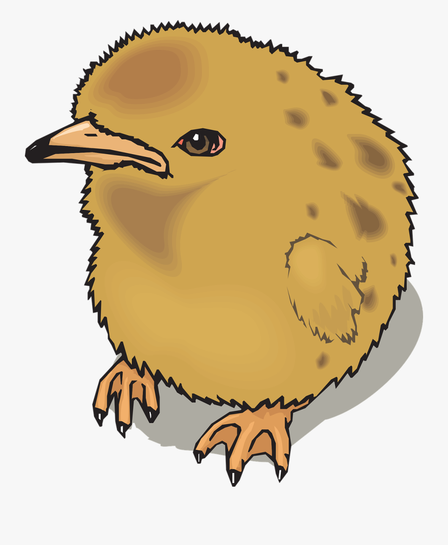 Png Pollo Bebe, Transparent Clipart