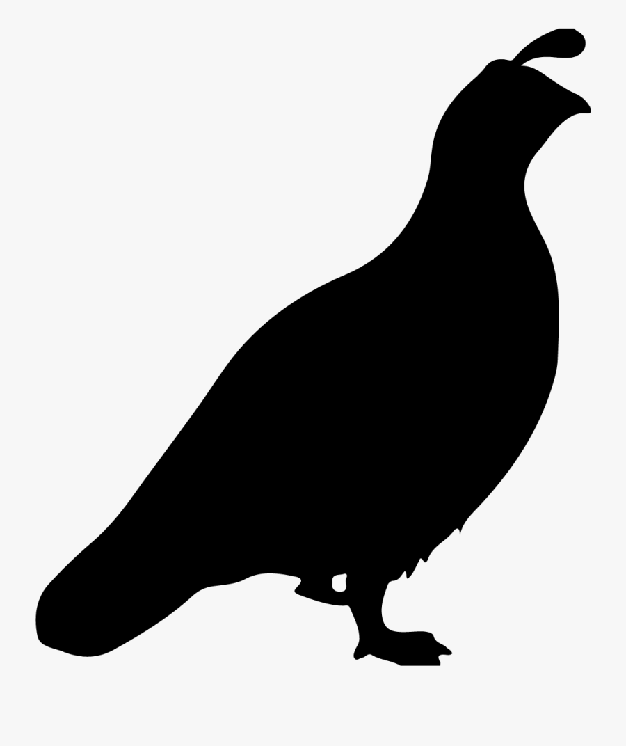 Common Quail, Transparent Clipart
