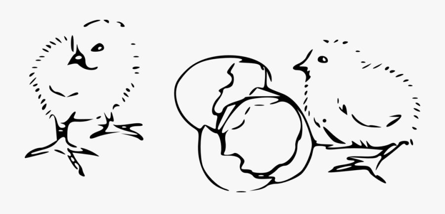 Chicks Clipart Black And White, Transparent Clipart