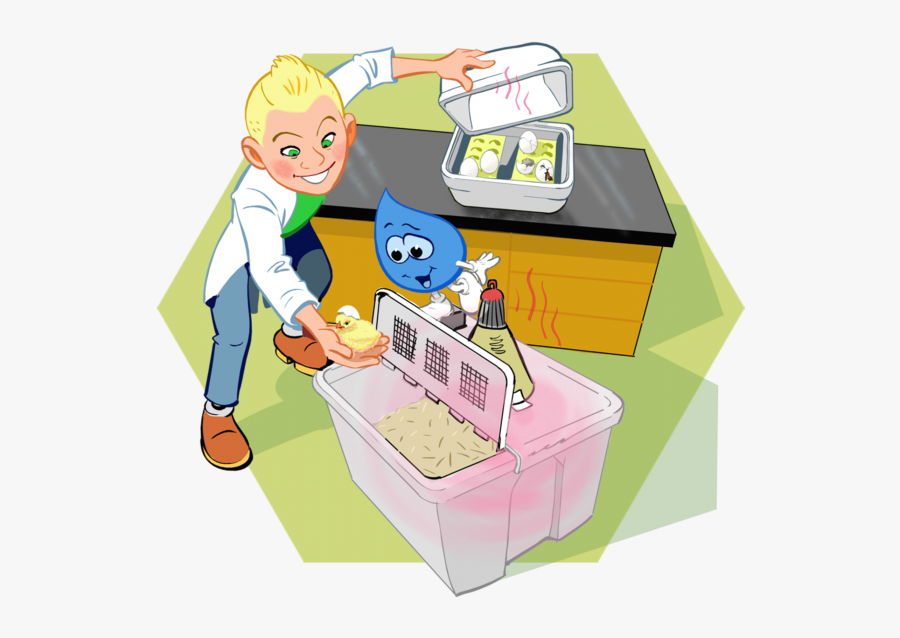 Cartoon, Transparent Clipart
