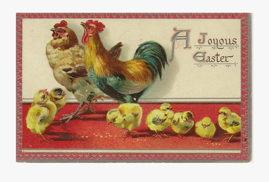 Rooster, Transparent Clipart