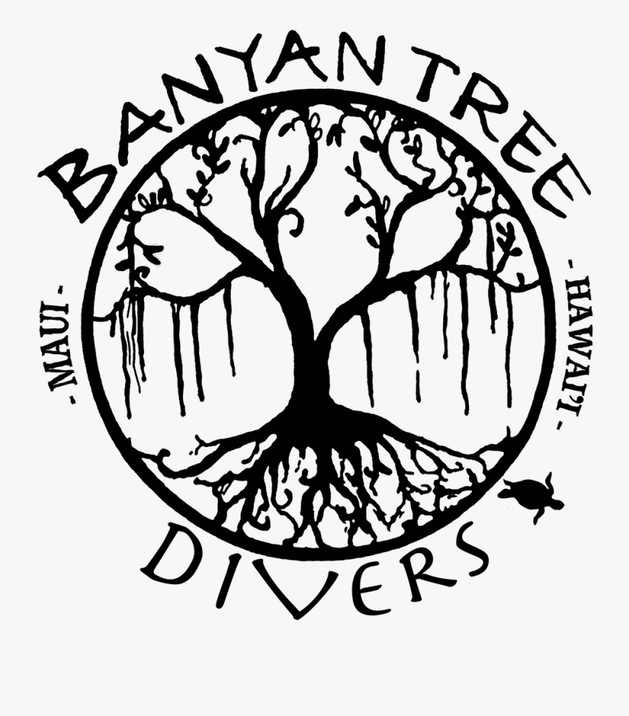 Banyan Tree Divers Maui - Banyan Tree Line Art, Transparent Clipart
