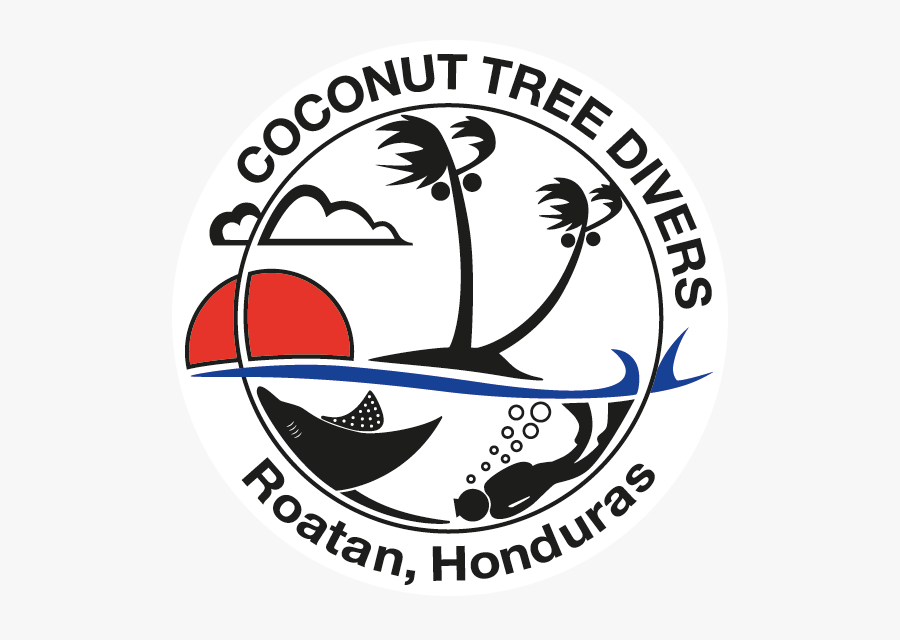 Coconut Tree Divers, Transparent Clipart