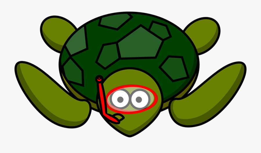 Turtle Animal Nature - Turtle Looking Up Clipart, Transparent Clipart