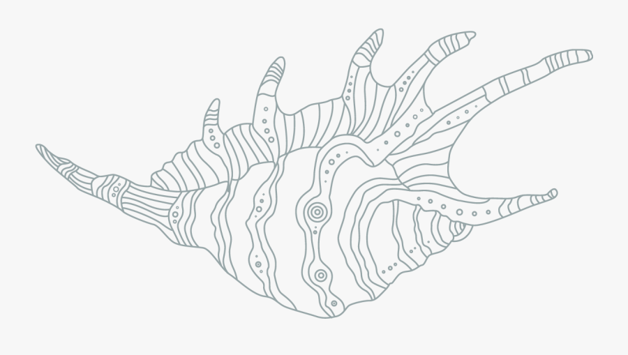 Line Art, Transparent Clipart
