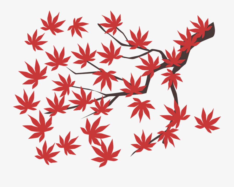Transparent Red Maple Leaf Clipart - Lá Phong Đỏ Vector, Transparent Clipart