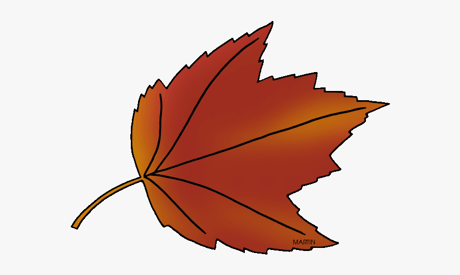 State Tree Of Rhode Island - Autumn, Transparent Clipart