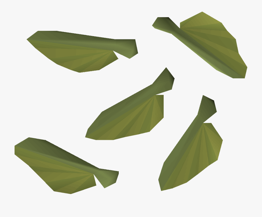 Clip Art Old School Runescape Wiki - Osrs Maple Seed, Transparent Clipart