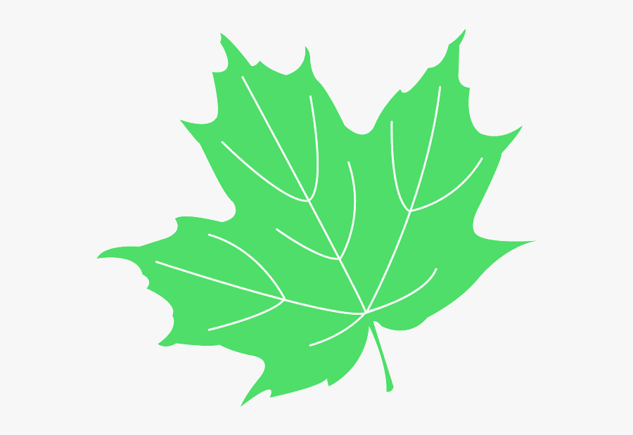Maple Leaf Free Vector, Transparent Clipart