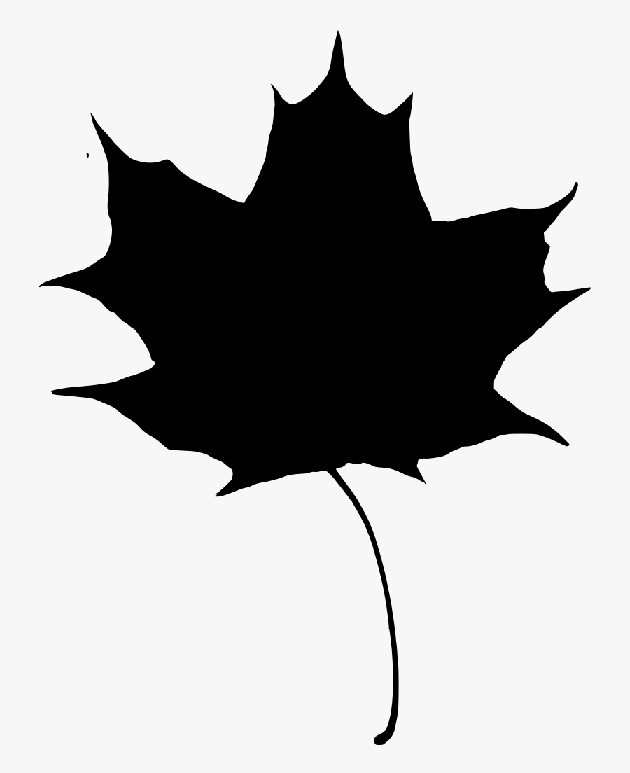 Leaf, Transparent Clipart