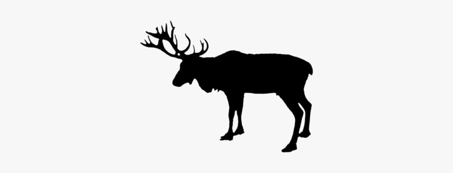 Transparent Deer Antler Clipart, Deer Antler Png Image - Deer, Transparent Clipart