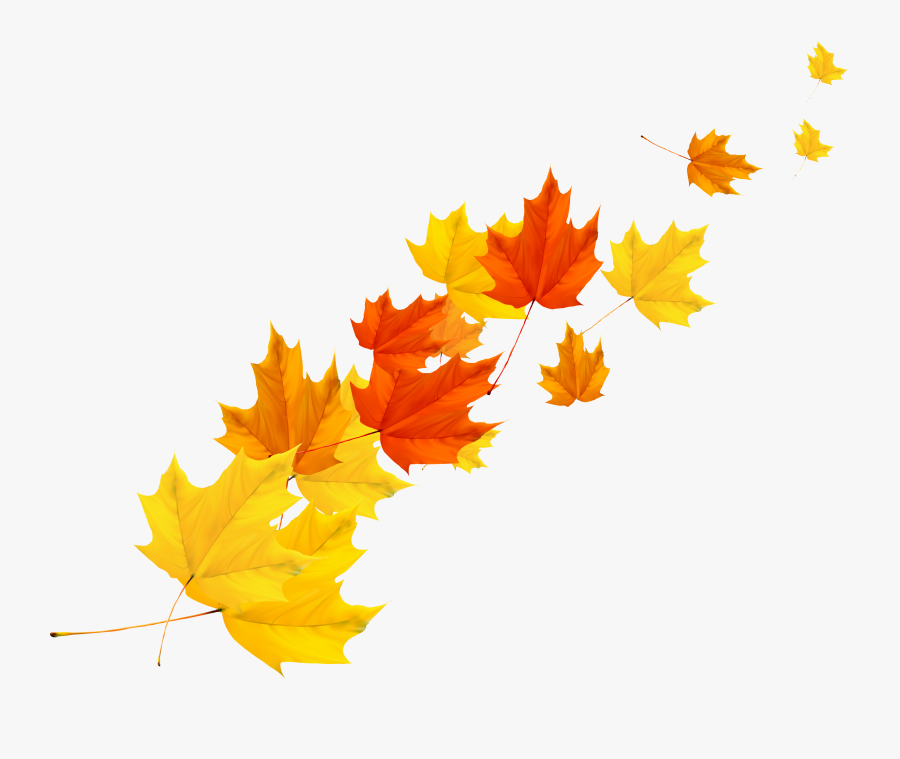 Clip Art Maple Leaf Vector - Leaf Autumn Vector Png, Transparent Clipart