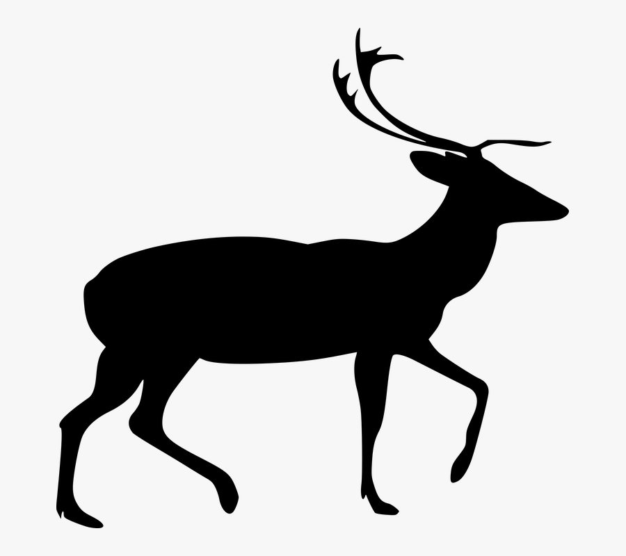 Transparent Deer Antlers Silhouette Png - Vector Buck Deer Head, Transparent Clipart