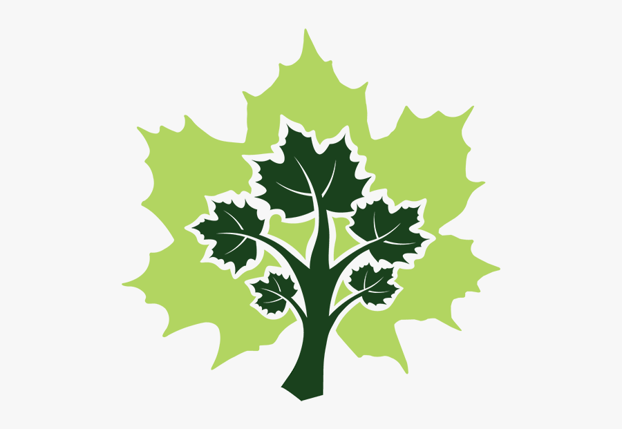 Microsoft Maple, Transparent Clipart