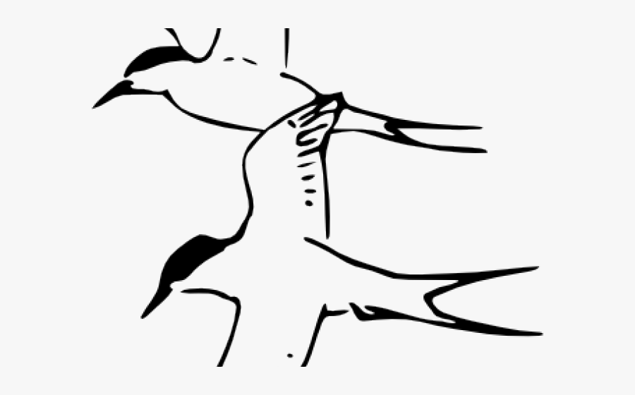 Tern Clipart Number 2 - Arctic Tern Black And White, Transparent Clipart
