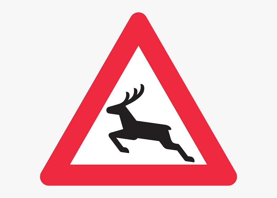 Deer Crossing Car Accident - Cow Crossing Road Sign, Transparent Clipart