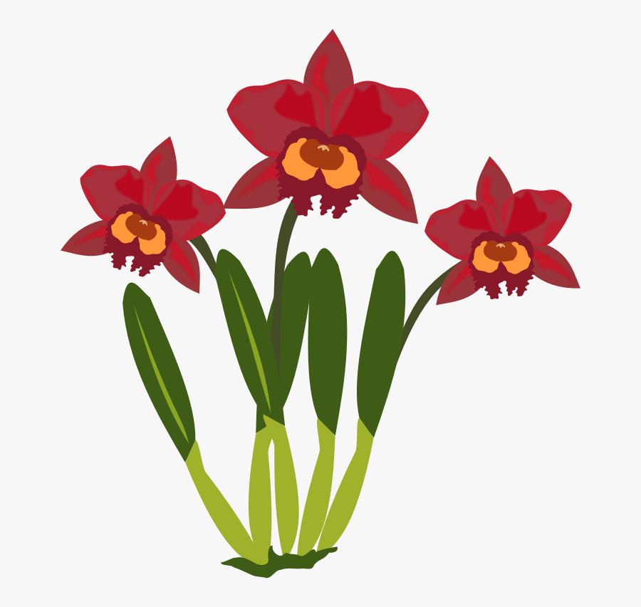 Transparent Orchid Png - Cartoon Picture Of Orchid Flower, Transparent Clipart