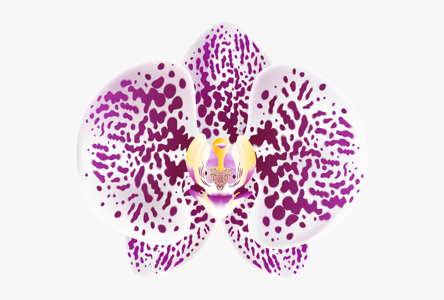 Transparent Orchid Png - Portable Network Graphics, Transparent Clipart
