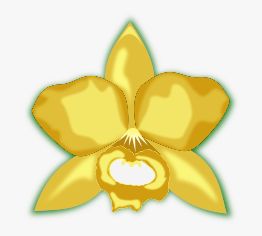 Plant,flora,symmetry - Kartun Bunga Anggrek Kuning, Transparent Clipart