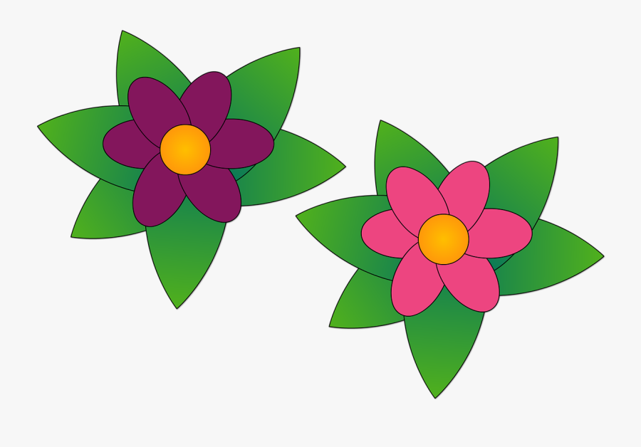 Transparent Garden Plants Png - Cattleya, Transparent Clipart