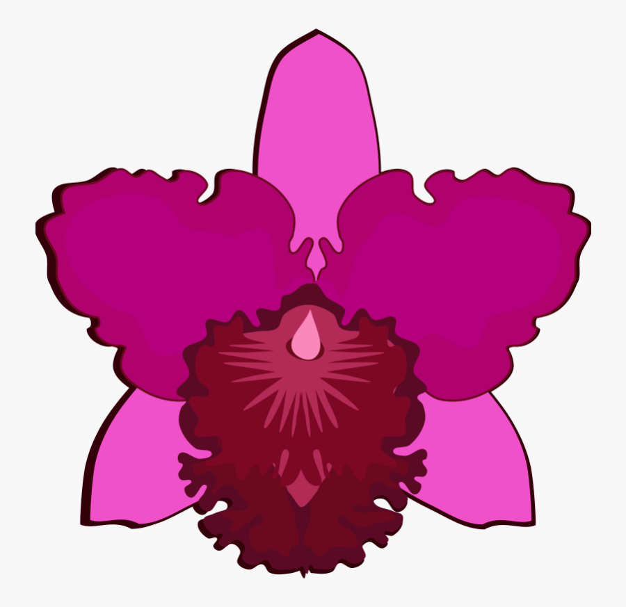 Cattleya-07h - Cattleya Flower Design, Transparent Clipart
