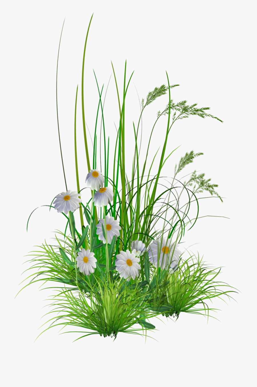 Flower Garden Lawn Clip Art - Flower In Garden Png, Transparent Clipart