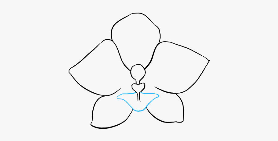 How To Draw Orchid - Line Art, Transparent Clipart