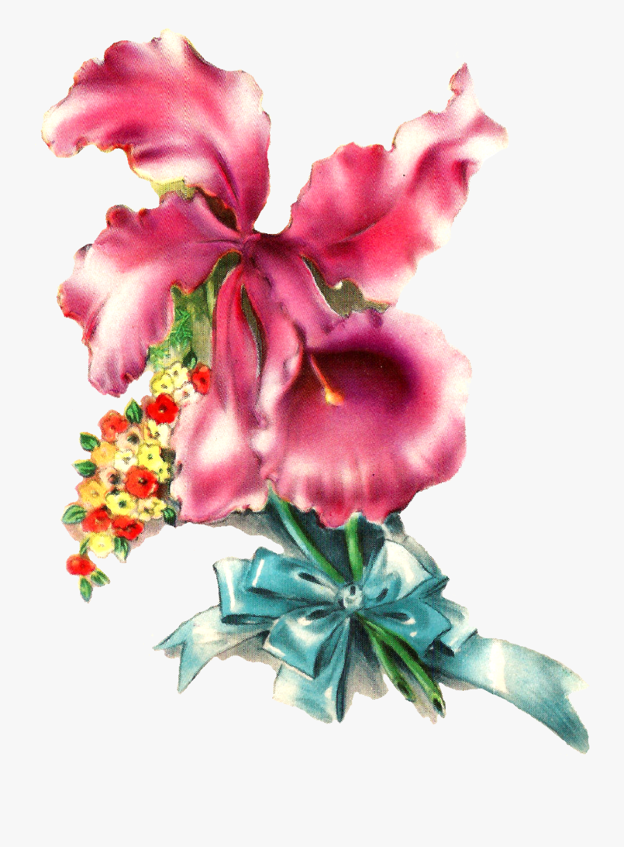 Orchid Flower Image Illustration Botanical Art - Birthday Cards For Friends, Transparent Clipart