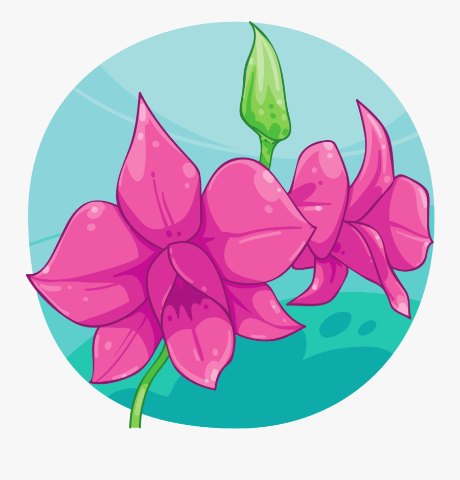 Cooktown Orchid Art, Transparent Clipart