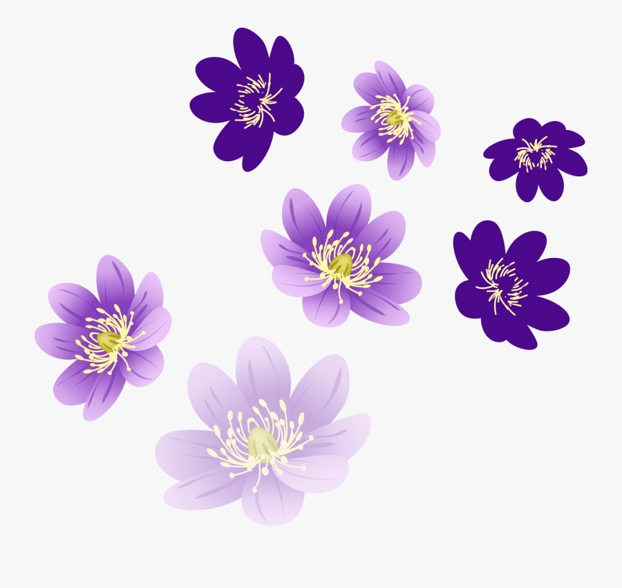 Floral Png Images For Photoshop, Transparent Clipart