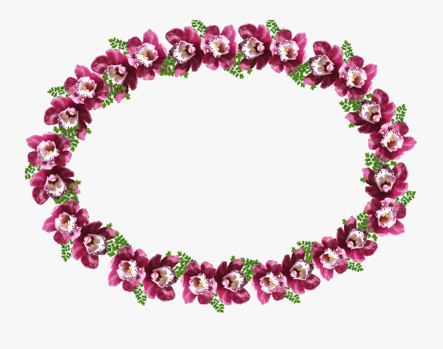 Frame Border Orchid Free Picture - Hollyhocks, Transparent Clipart