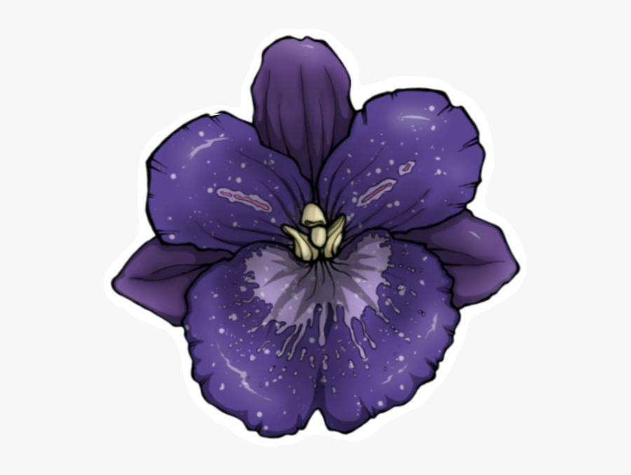 #freetoedit #flower #orchid #çiçek #orkide - Pansy, Transparent Clipart
