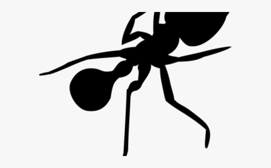 Ant Clipart Cricket Insect - Ant Silhouette Png, Transparent Clipart