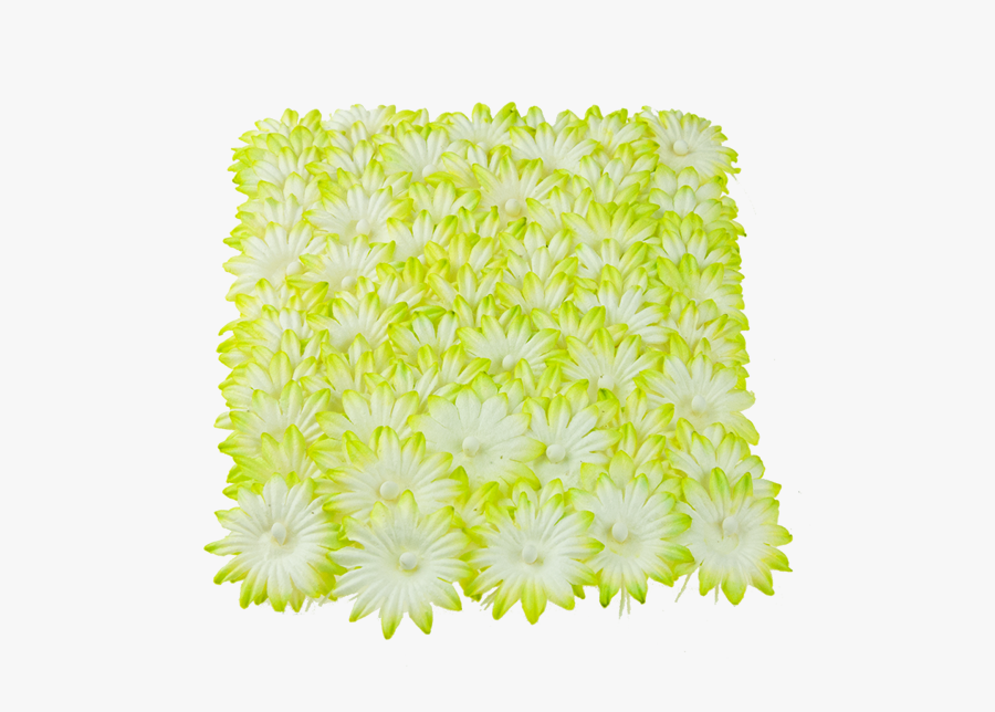 100 Green Mulberry Paper Flowers - African Daisy, Transparent Clipart