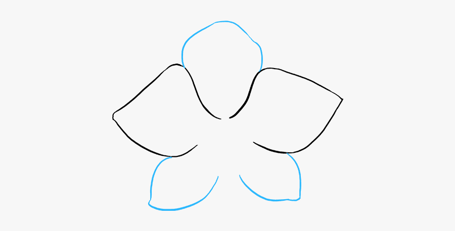 How To Draw Orchid, Transparent Clipart
