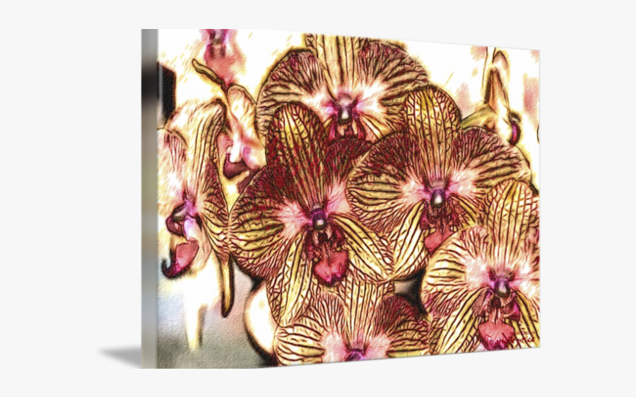 Drawn Orchid Red Orchid - Moth Orchid, Transparent Clipart