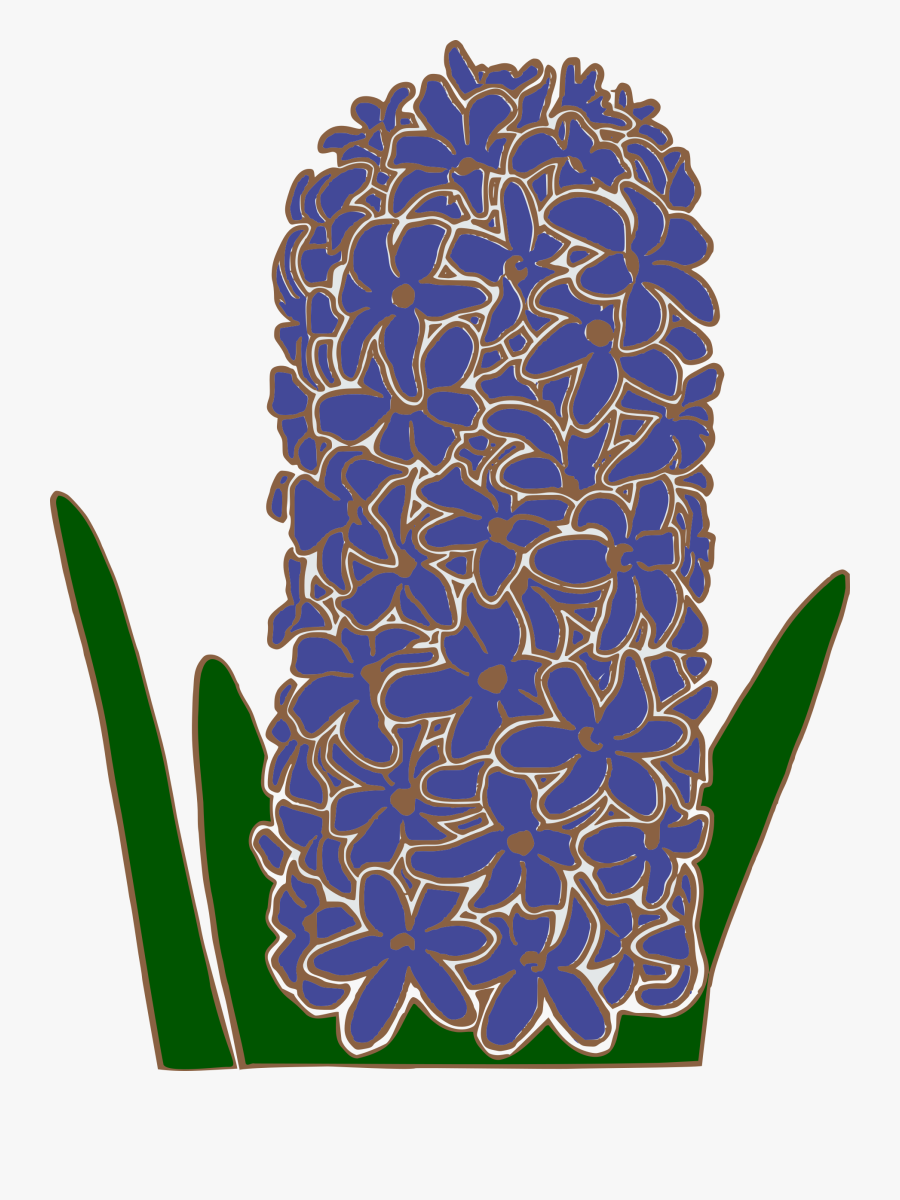 Flower Garden Hyacinth Free Picture - Clipart Hyacinth, Transparent Clipart